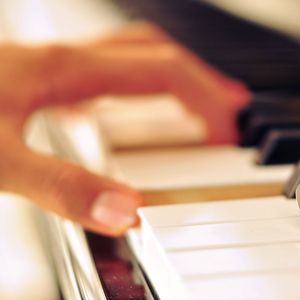 大黄别的情色片的黄片在线看片
