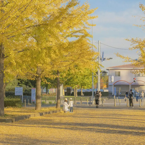 大黄别的情色片的黄片在线看片
