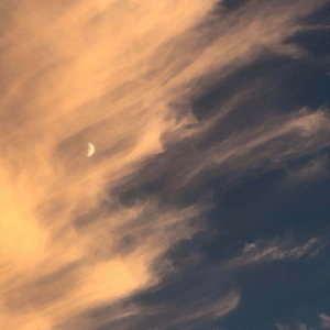 大黄别的情色片的黄片在线看片
